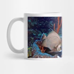 Caribbean Grey Angel Fish along a Coral Reef Mug